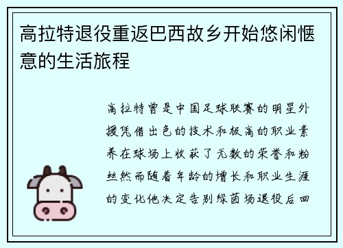高拉特退役重返巴西故乡开始悠闲惬意的生活旅程 高拉特退役重返巴西故乡开始悠闲惬意的生活旅程